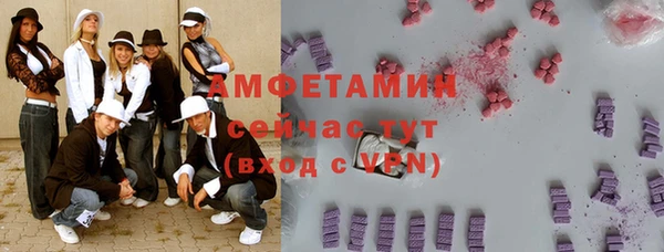 сатива Беломорск