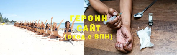 сатива Беломорск
