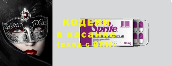 сатива Беломорск