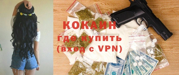 сатива Беломорск