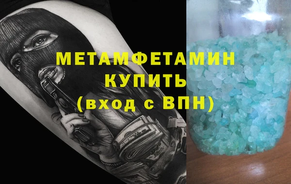 сатива Беломорск