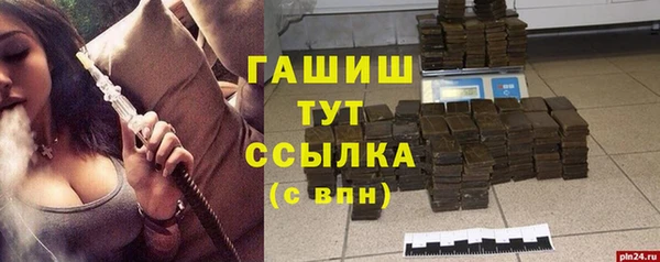 индика Сясьстрой